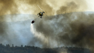 Mejora situación de incendios en Galicia, pero avanza fuego en el centro de España