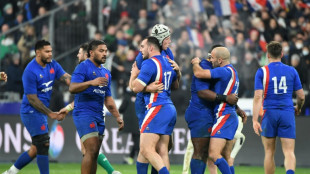 Tournoi des six nations: les Bleus écartent l'Irlande et se dégagent l'horizon