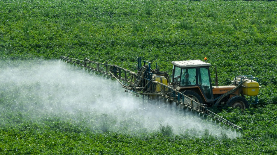 Un peu plus de pesticides utilisés dans les champs proches de parcelles bio