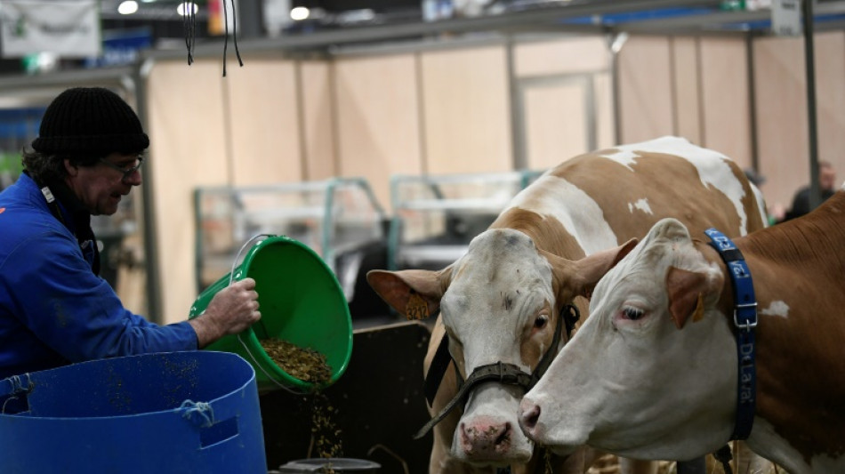 Salon de l'agriculture: Macron au contact du monde rural et des Français