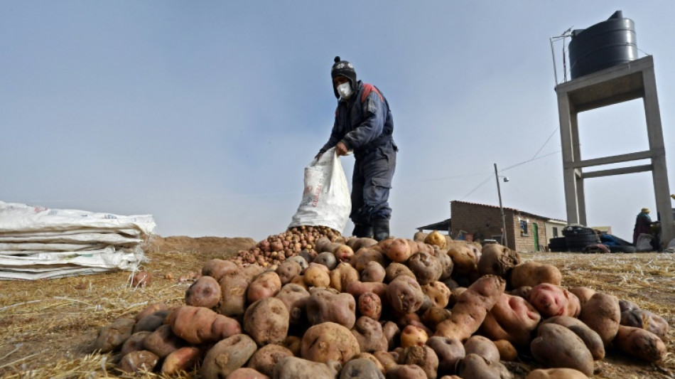 Cara y cruz de China en América Latina: dinero y deterioro ecológico