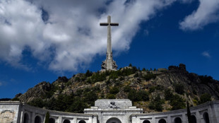 Víctimas del franquismo llevan denuncias a la ONU ante la "impunidad" en España