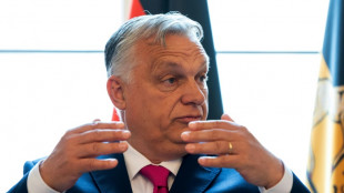 Orban setzt auf Trump für Bemühungen um Waffenstillstand in der Ukraine