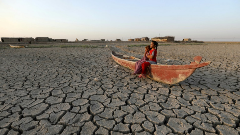 Scientists blame climate change for 'extreme drought' in Iraq, Iran and Syria