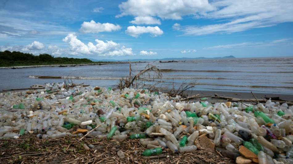 Plastic litter in oceans overestimated, study suggests