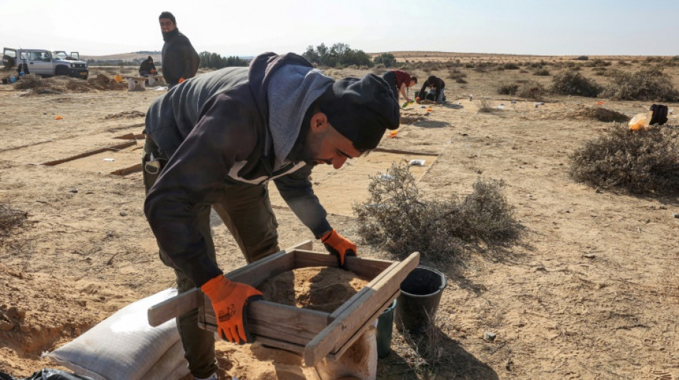 Descubren huevos de avestruz de más de 4.000 años en Israel