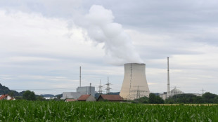 Scholz stellt schnelle Lösung im Ampel-Streit um Atomkraft in Aussicht