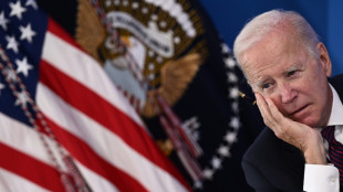 Biden veut transformer les législatives en référendum sur Trump