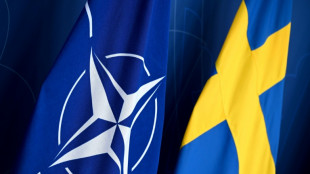 Schweden als 32. Staat in die Nato aufgenommen