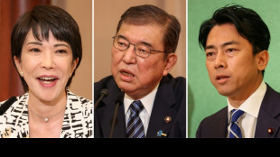 Japan ruling party votes for next PM