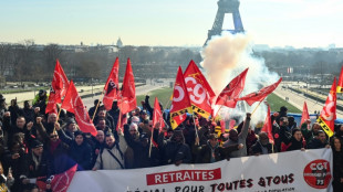 Invectives et méthodes musclées, les retraites à plein régime à l'Assemblée