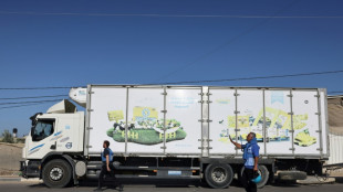 Erste Hilfslieferungen aus Ägypten im Gazastreifen eingetroffen