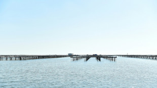 El calor amenaza los mejillones del Mediterráneo español