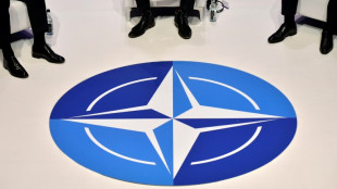 Beginn des viermonatigen Nato-Großmanövers "Steadfast Defender"  