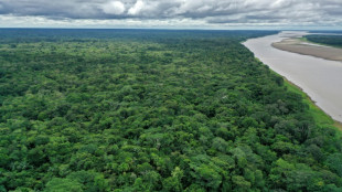 L'Amazone est-il plus long que le Nil ? Une expédition pour trancher un vieux débat