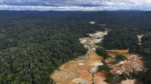 Brasil avanza contra minería ilegal en tierra yanomami