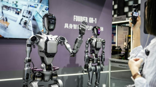 Chinese AI market optimistic despite scrutiny from West