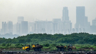 Course contre la montre à Singapour pour sauver "la décharge de l'Eden"