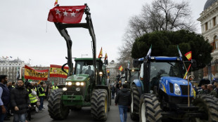 Tractors gather in central Madrid in farmers' protest