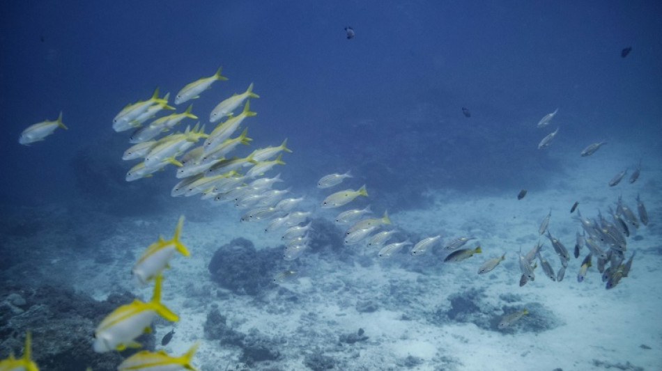 La France investit pour surveiller l'impact du réchauffement climatique sur les océans