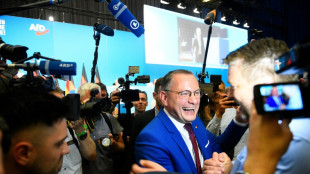 AfD-Parteitag bestätigt Weidel und Chrupalla - Massive Proteste in Essen