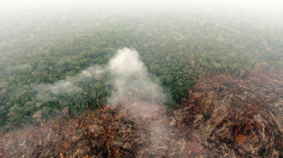 Día de la Amazonía: Los incendios se disparan en el arranque de septiembre