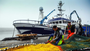 A Peterhead, les pêcheurs dans la tempête du Brexit et de l'inflation