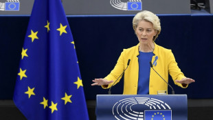 Von der Leyen vows 'fair' green deal for EU farms and industry