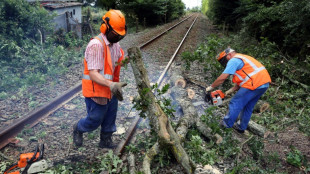 Tempête Domingos: nombreux dégâts sur le réseau ferroviaire, deux trains bloqués toute la nuit en Corrèze