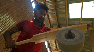 Axed: Rampant logging hits India's batmakers for six