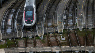 Una huelga de controladores perturba fuertemente el servicio de trenes en Francia