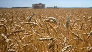 EU eyes tariffs to 'choke off' Russian grain sales