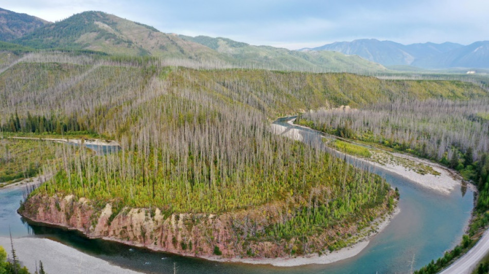 Un procès historique pour le climat s'ouvre dans le nord-ouest des Etats-Unis