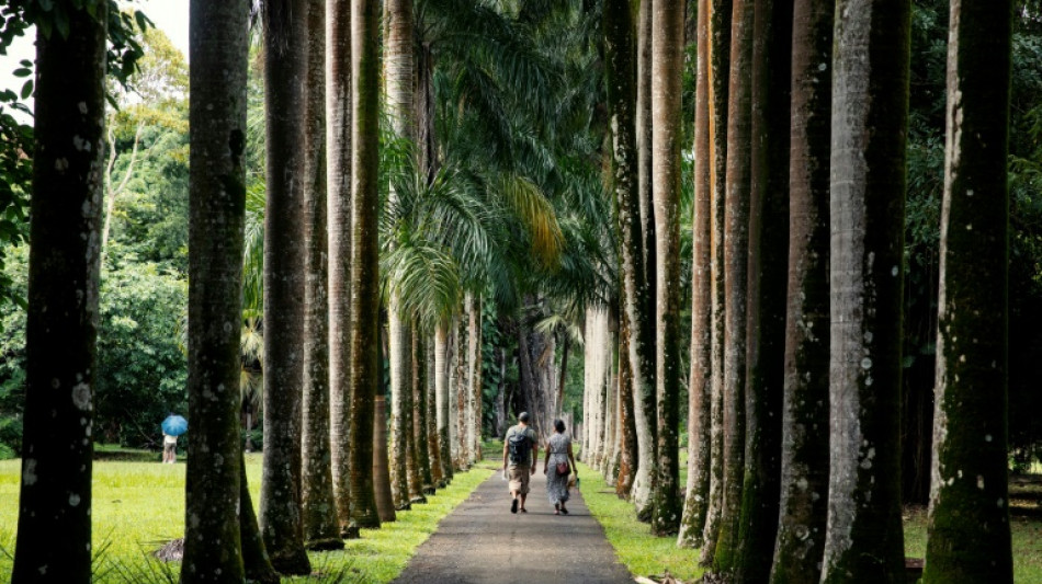 Le tourisme mondial devrait retrouver son niveau pré-pandémie en 2024, selon une agence onusienne