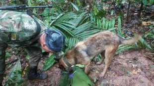 Colombie : intenses recherches pour retrouver quatre enfants dans la jungle