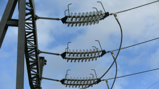 Electricité: chez Enedis, les "tours de contrôle" se préparent au scénario "ultime" des coupures hivernales