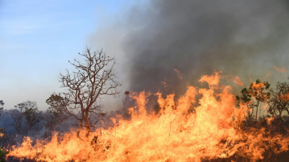 Gran incendio afecta a Parque Nacional de Brasilia, favorecido por sequía