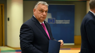 Orban distanziert sich von Gipfeleinigung zur Ukraine