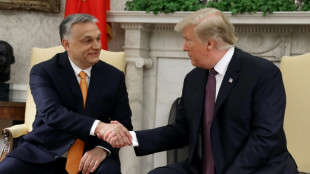 Orban zu Besuch bei Trump in Florida