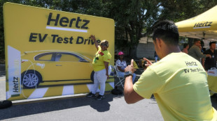 Hertz to shrink EV rental fleet over sluggish US demand