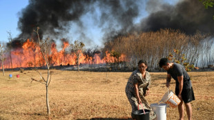 Diretor da PF defende penas mais duras contra autores de incêndios