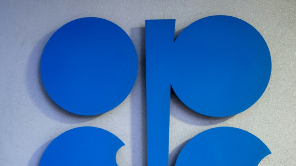 Opec+ will Produktion im August stabil halten  