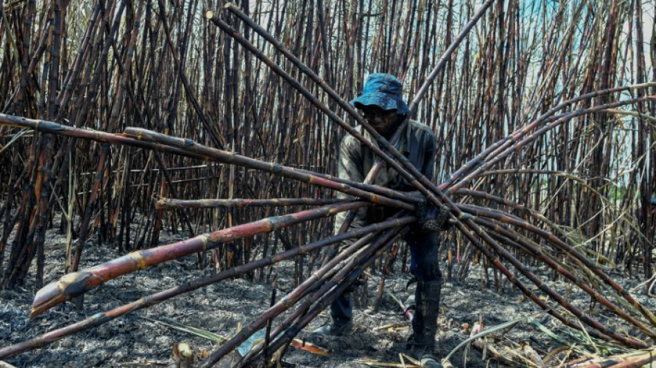 En Colombie, bataille pour la terre entre indigènes et afro-descendants