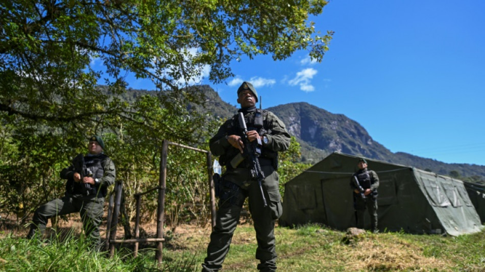  Desmatamento na Colômbia aumenta com 'fracasso' das negociações com dissidências das Farc, diz ONG 