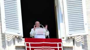 Papa Francisco pede 'cessar-fogo imediato' no Oriente Médio