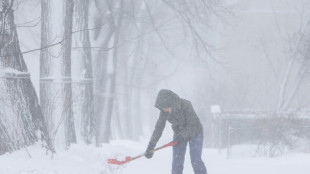 'Rare' springtime blizzard wallops parts of Canada 