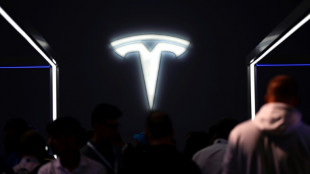 Betriebsratswahl bei Tesla in Grünheide beendet: IG Metall liegt vorn