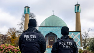 Deutschland schob im vergangenen Jahr zwölf islamistische Gefährder ab