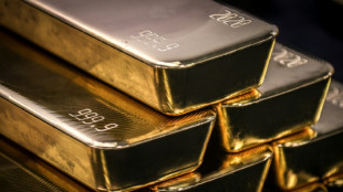 Gold jumps to record on rate cut bets but equities struggle