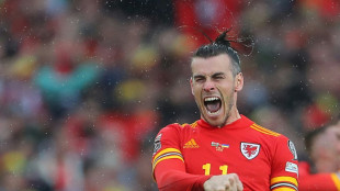 Bale warns of 'crazy' demands on players